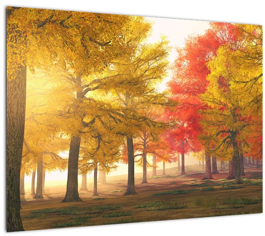 Tablou cu copaci toamna (70x50 cm)