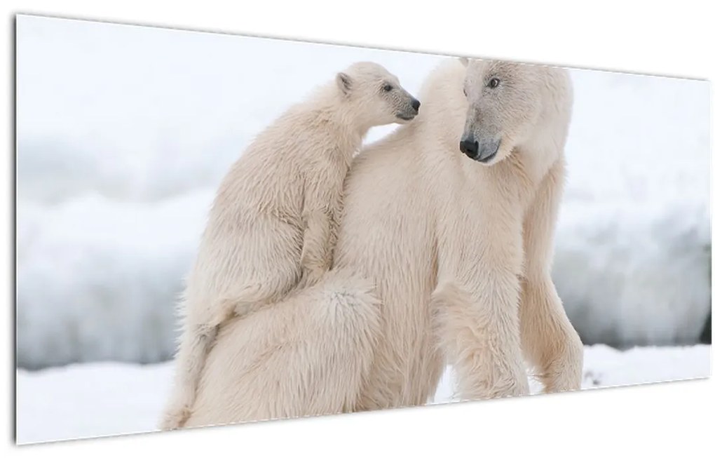 Tablou - Urs polar (120x50 cm)