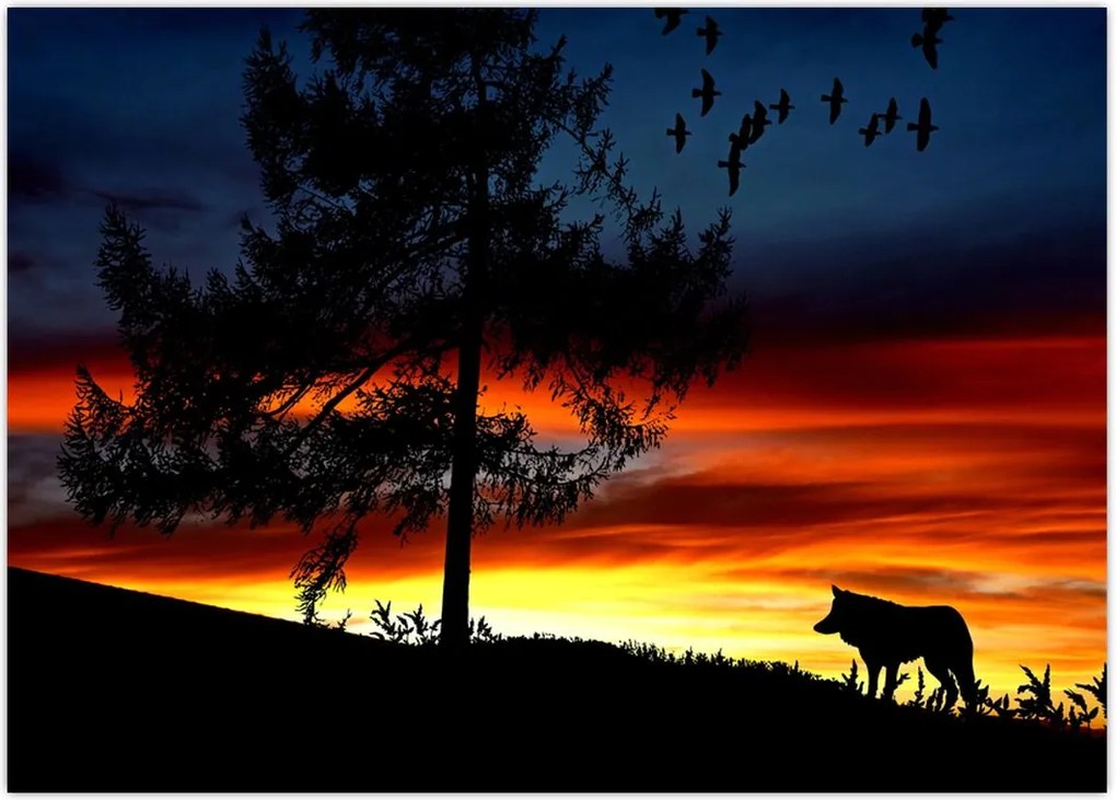 Tablou - Silueta unui lup (70x50 cm)