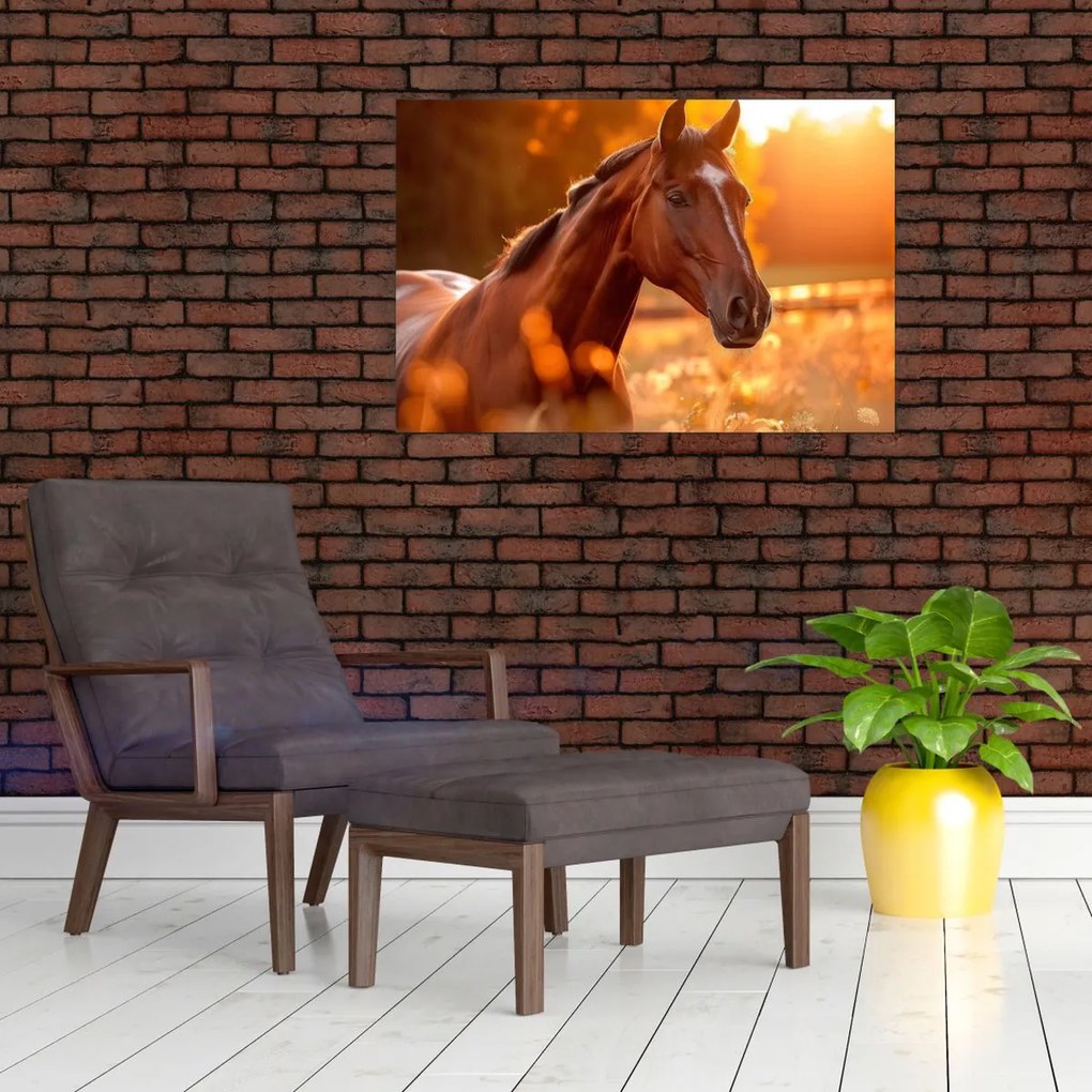 Tablou - Cal în apus de soare (90x60 cm)