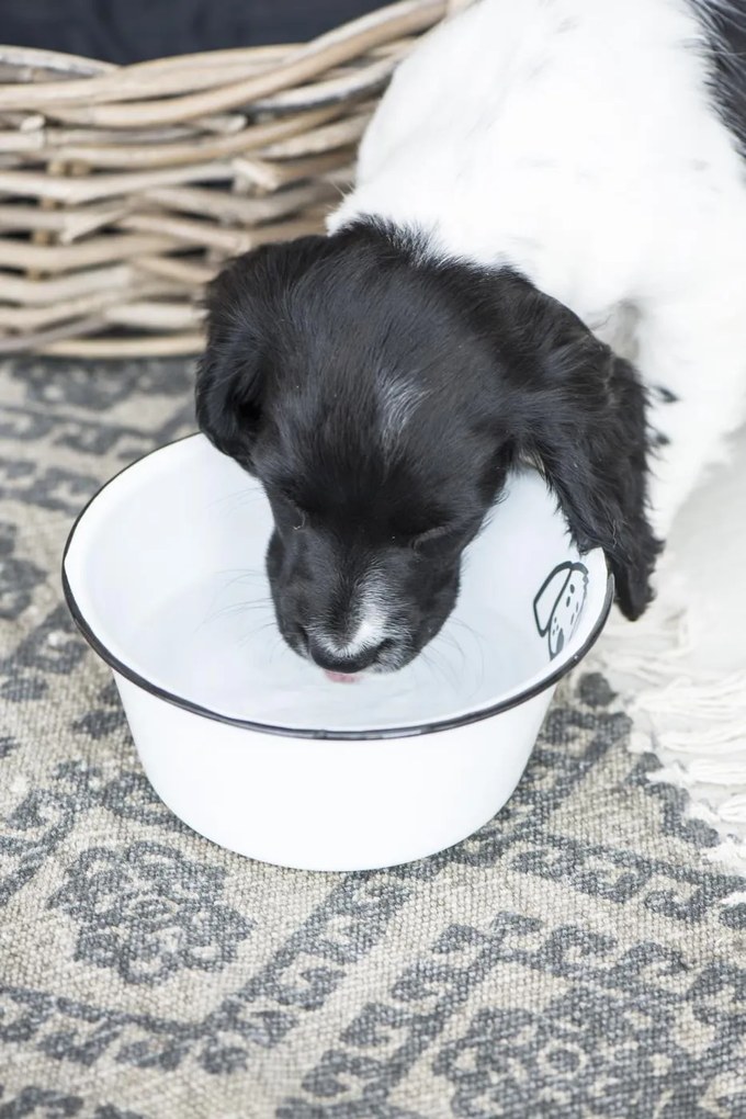 IB Laursen Bol emailat alb DOG SMALL EMAIL
