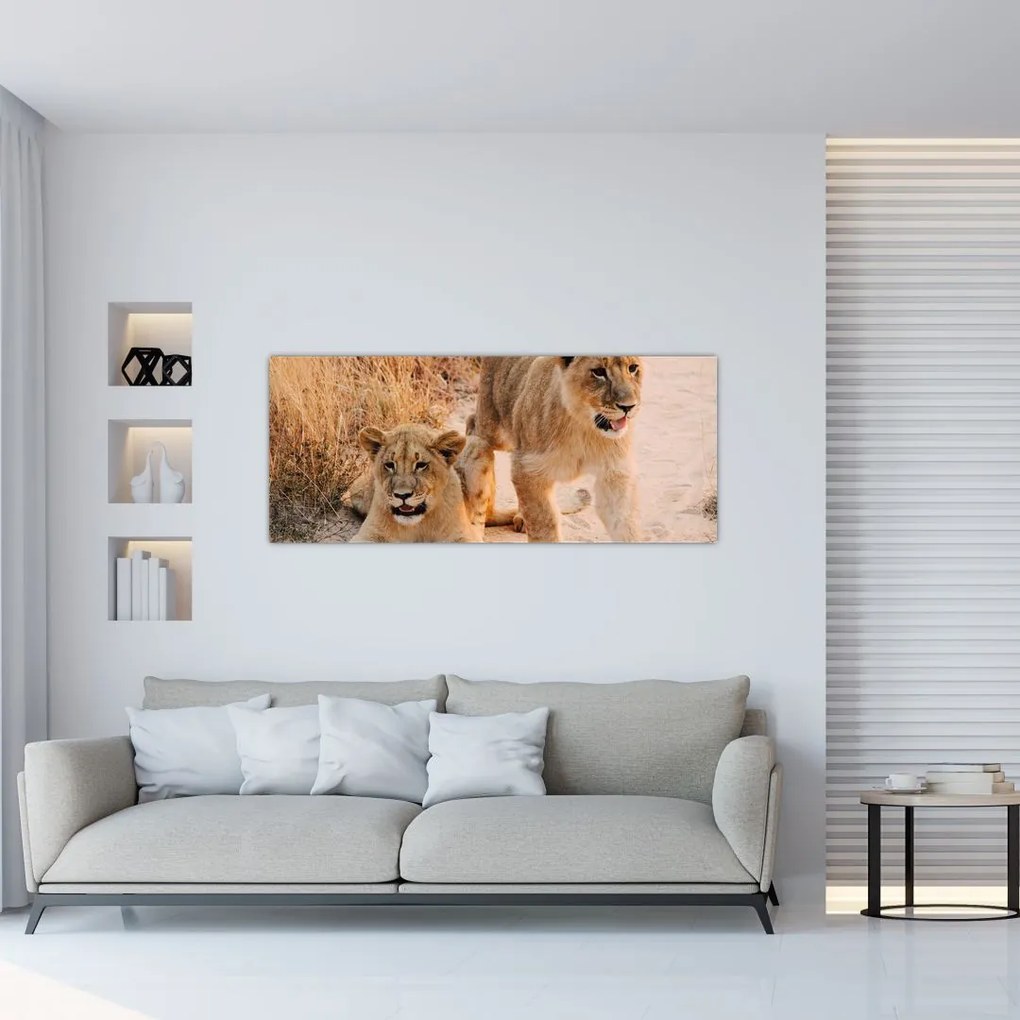 Tablou cu pui de leu (120x50 cm)