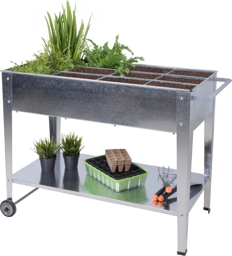 Pat ridicat de plante Mariegold – Garden Pleasure