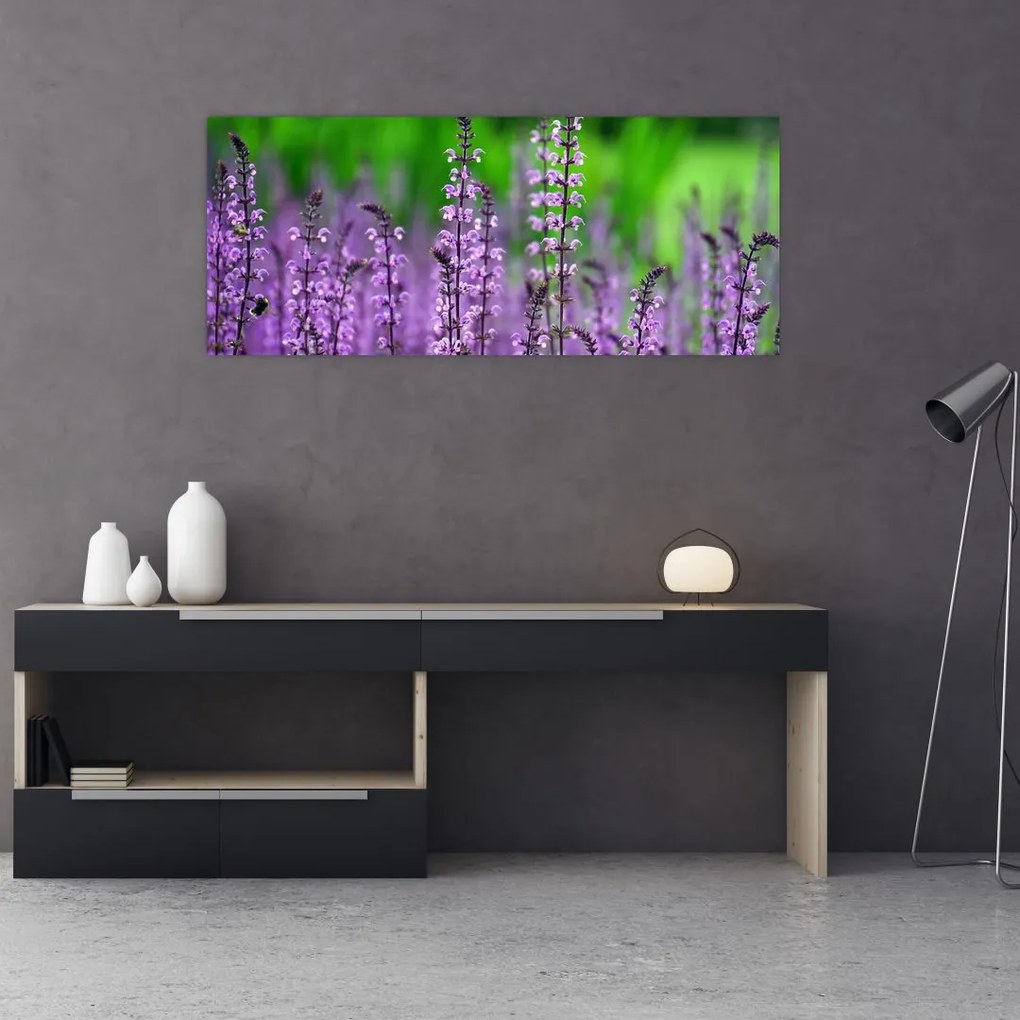 Tablou cu flori de luncă violete (120x50 cm)