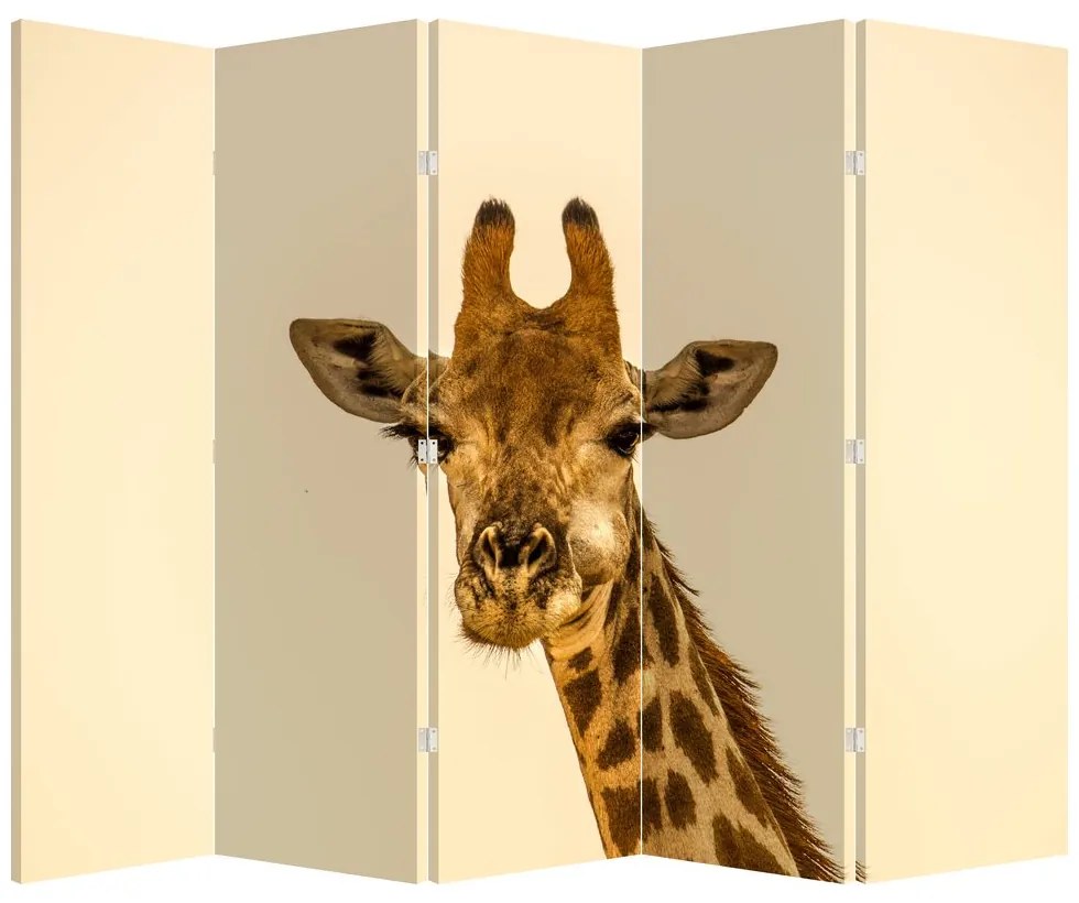 Paravan - Girafe (210x170 cm)