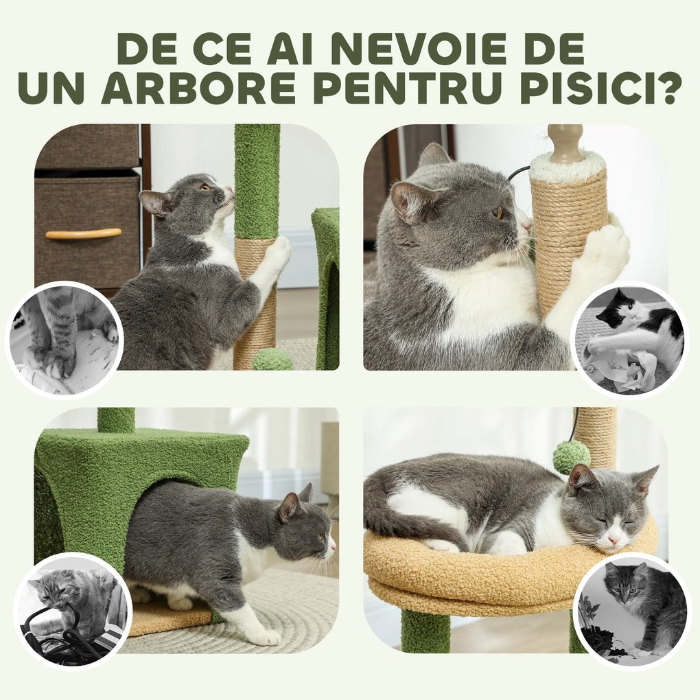 PawHut Ansamblu de Joacă pentru Pisici cu Căsuță, 2 Jucării cu Bilă și Pat Verde și Maro | Aosom Romania