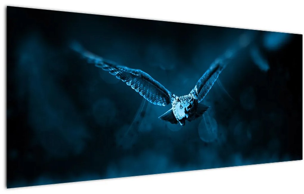 Tablou cu bufnița zburând (120x50 cm)