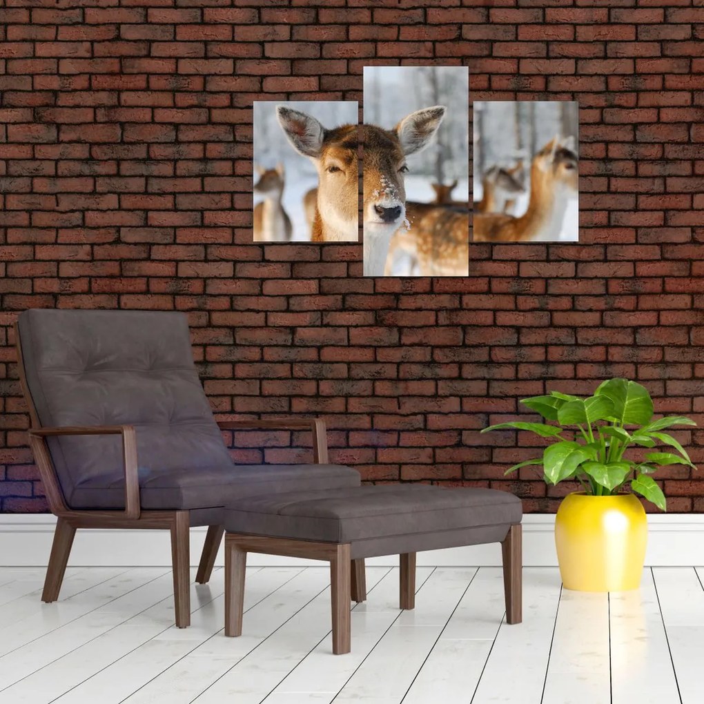 Tablou - Cerbi (90x60 cm)