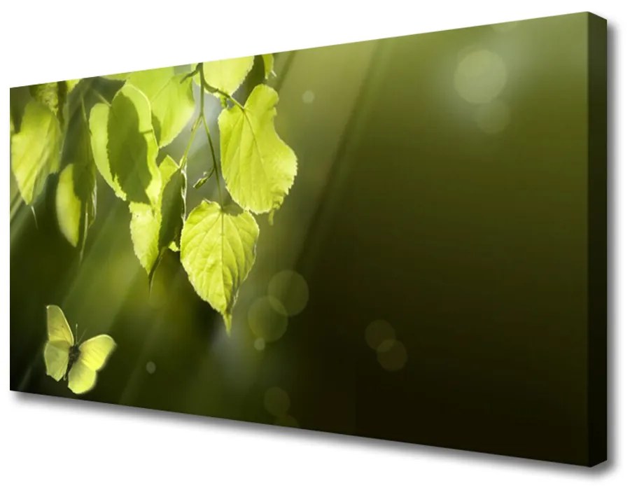 Tablou pe panza canvas Butterfly Frunze Natura verde