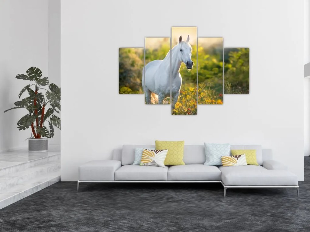 Tablou - Cal alb în poină (150x105 cm)