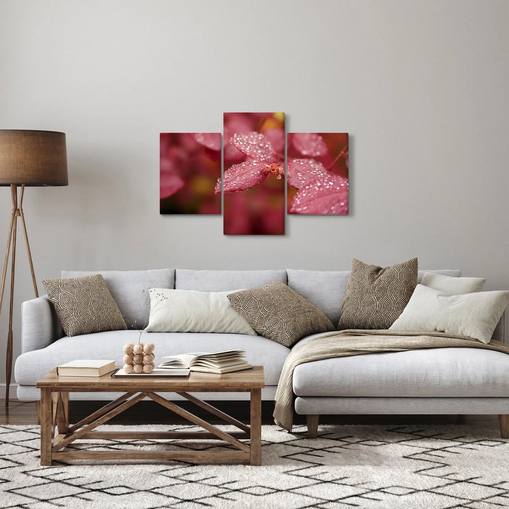 Tablou - Imagine macro a biletului (90x60 cm)