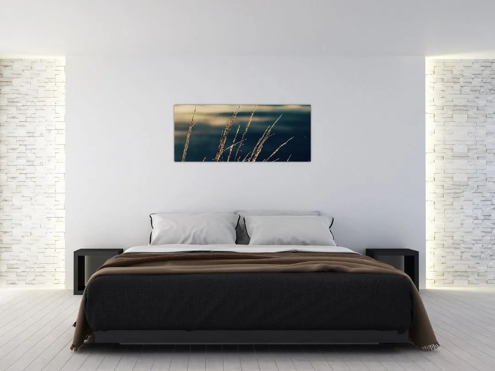 Tablou cu ierburi (120x50 cm)