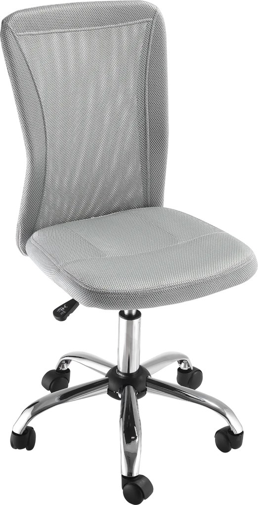 Vinsetto Scaun de Birou Ergonomic Fără Cotiere din Țesătură tip Plasă Gri | Aosom Romania