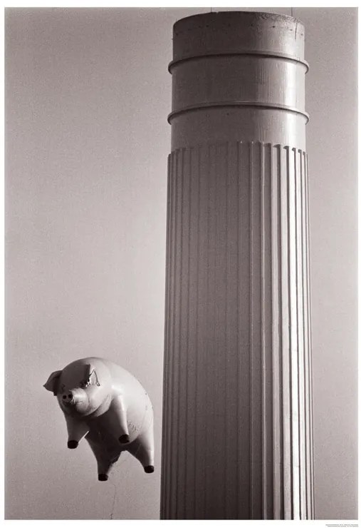 Poster Pink Floyd - Animals – Inflatable pig 1976