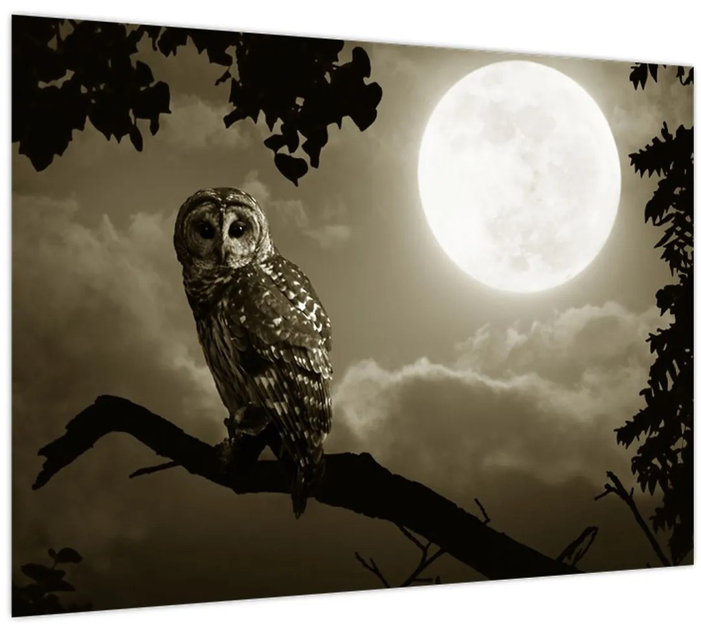 Tablou - Bufniță de noapte, auriu (70x50 cm)