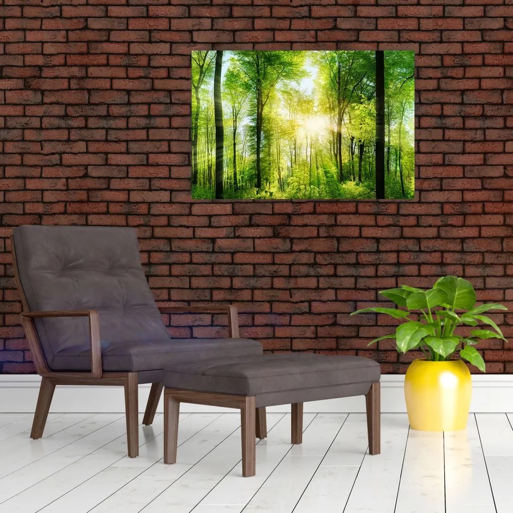 Tablou - Răsărit în pădure (90x60 cm)
