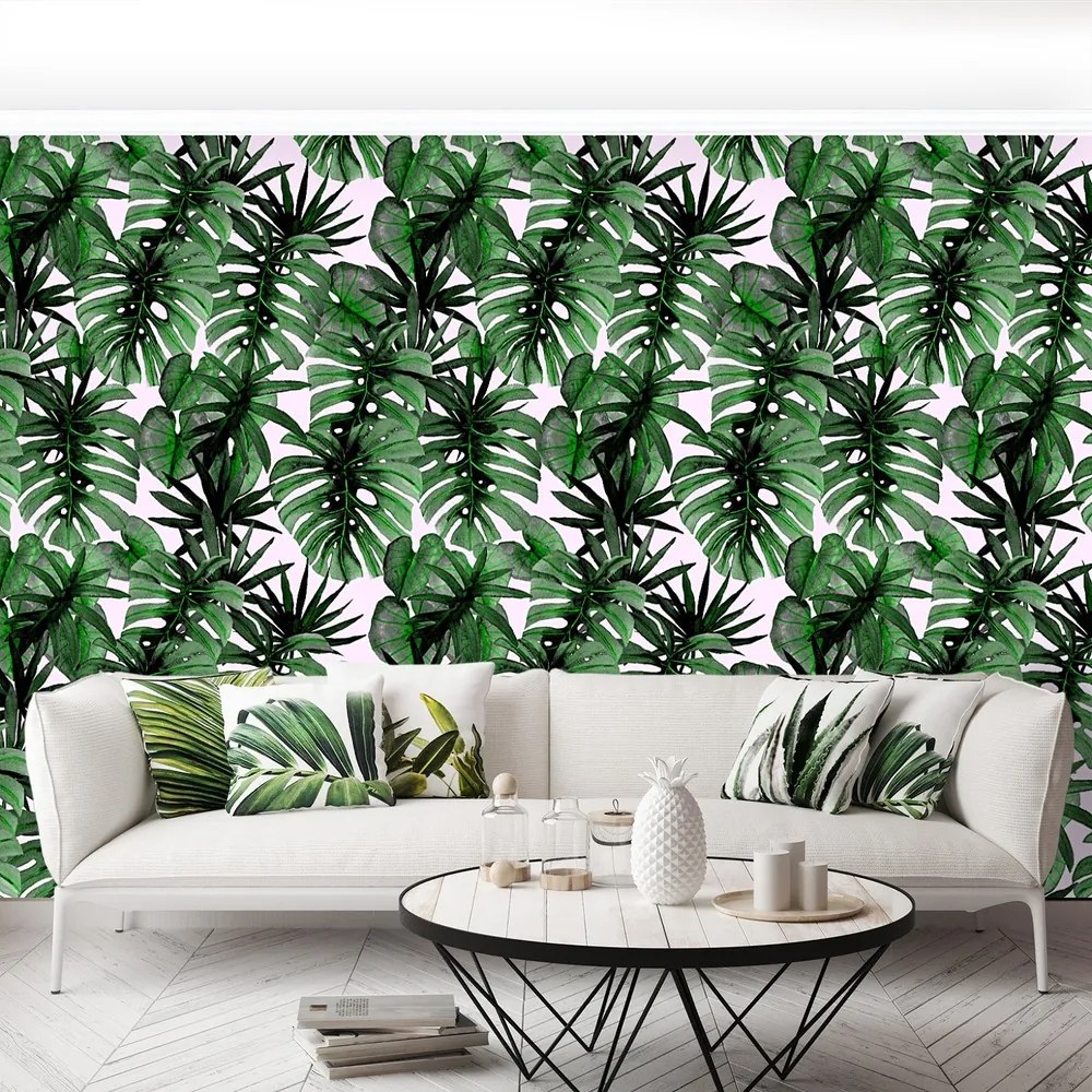 Fototapet Frunze tropicale