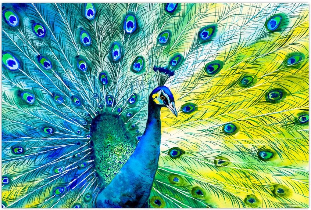 Tablou - Păun (90x60 cm)