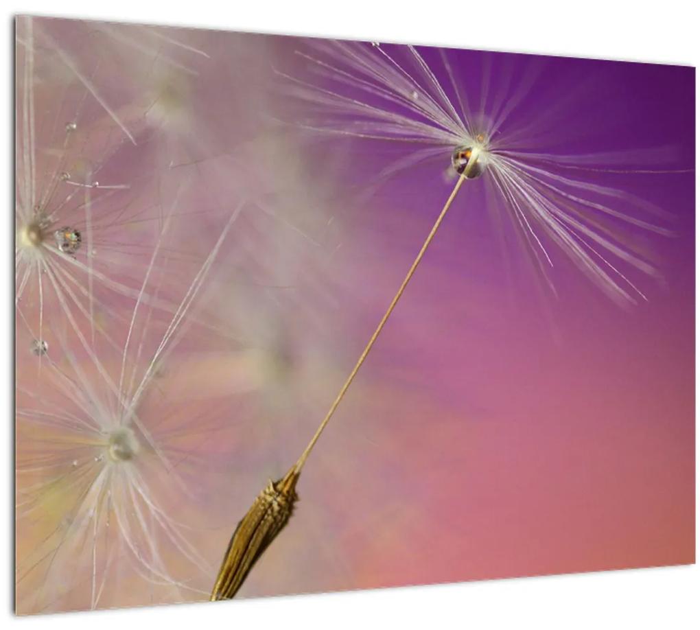 Tablou cu  floarea norocul (70x50 cm), în 40 de alte dimensiuni noi