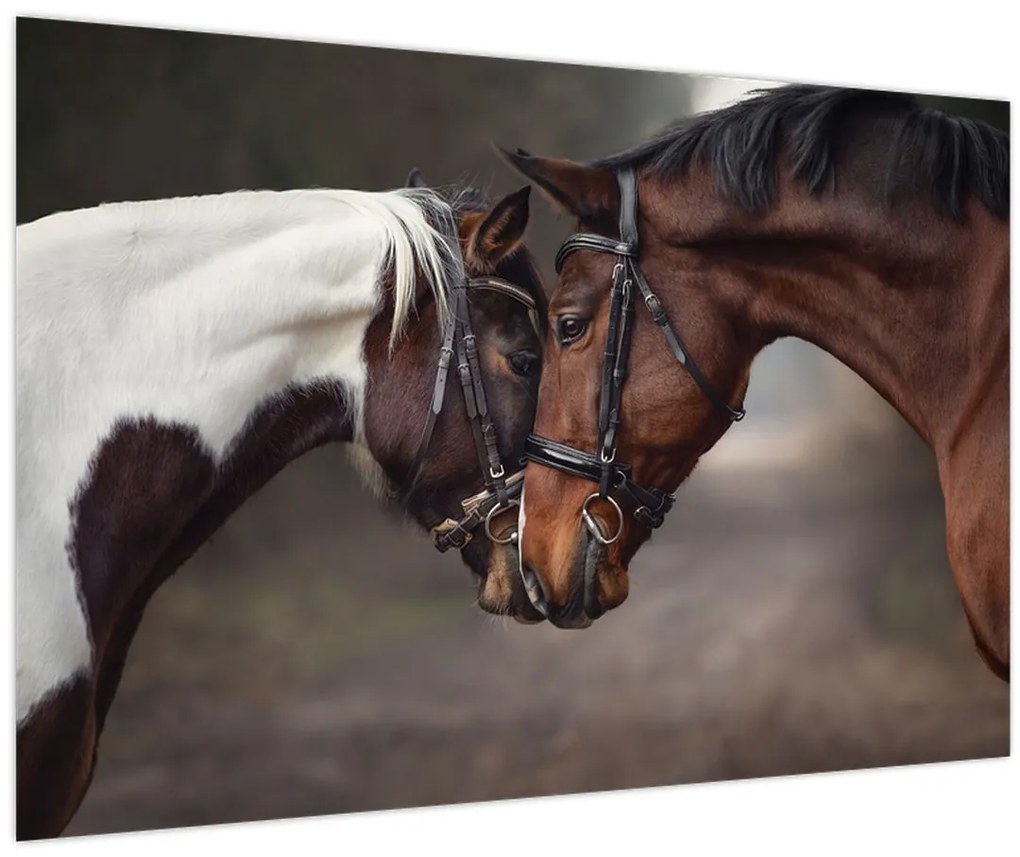 Tablou - Cai îndrăgostiți (90x60 cm)