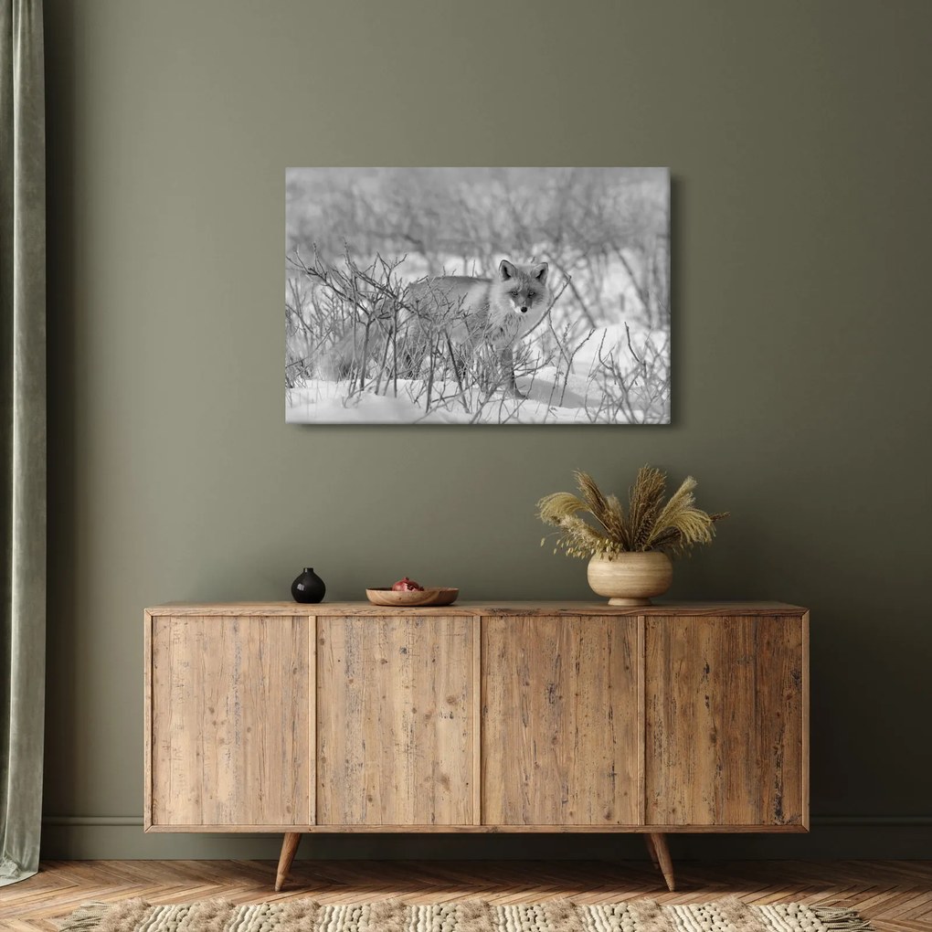 Tablou - Vulpe,alb-negru (90x60 cm)