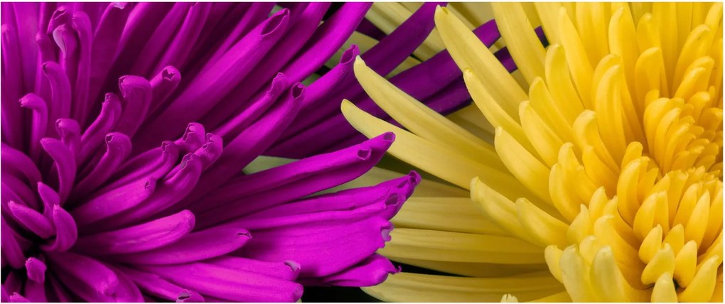 Tablou - detailu cu flori (120x50 cm)