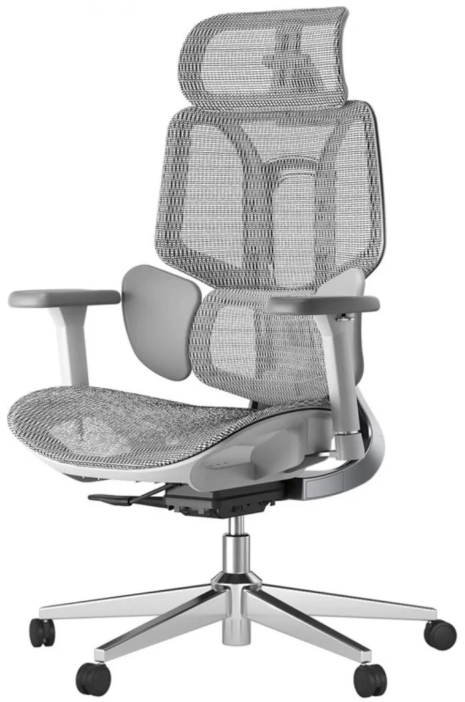 HBADA E3 AIR Scaun ergonomic, cu suport lombar dinamic pe 3 zone, tetieră reglabilă 3D, cotiere reglabile 6D, pivotant, Gri