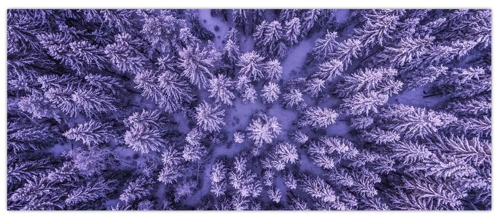 Tablou cu copacii înzăpeziți (120x50 cm)