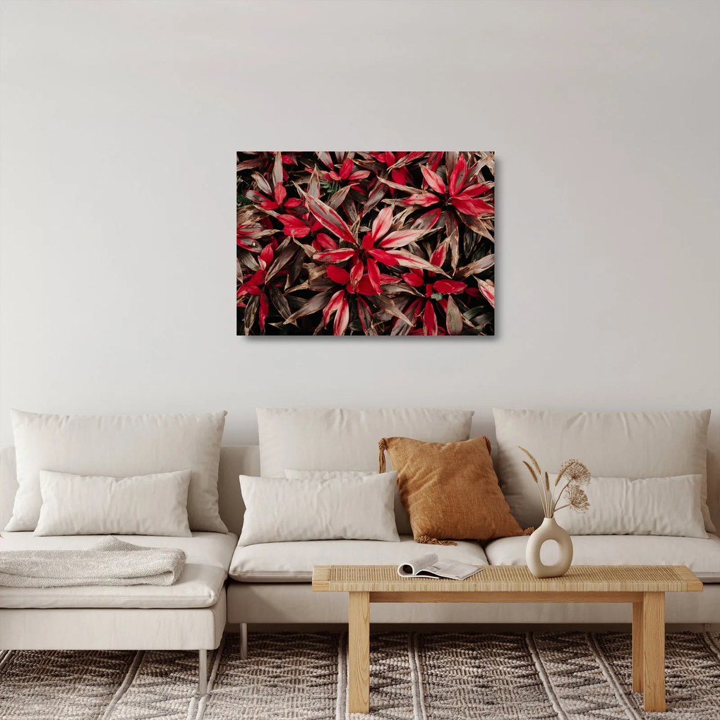 Tablou pe sticlă - Petale roșii (70x50 cm)