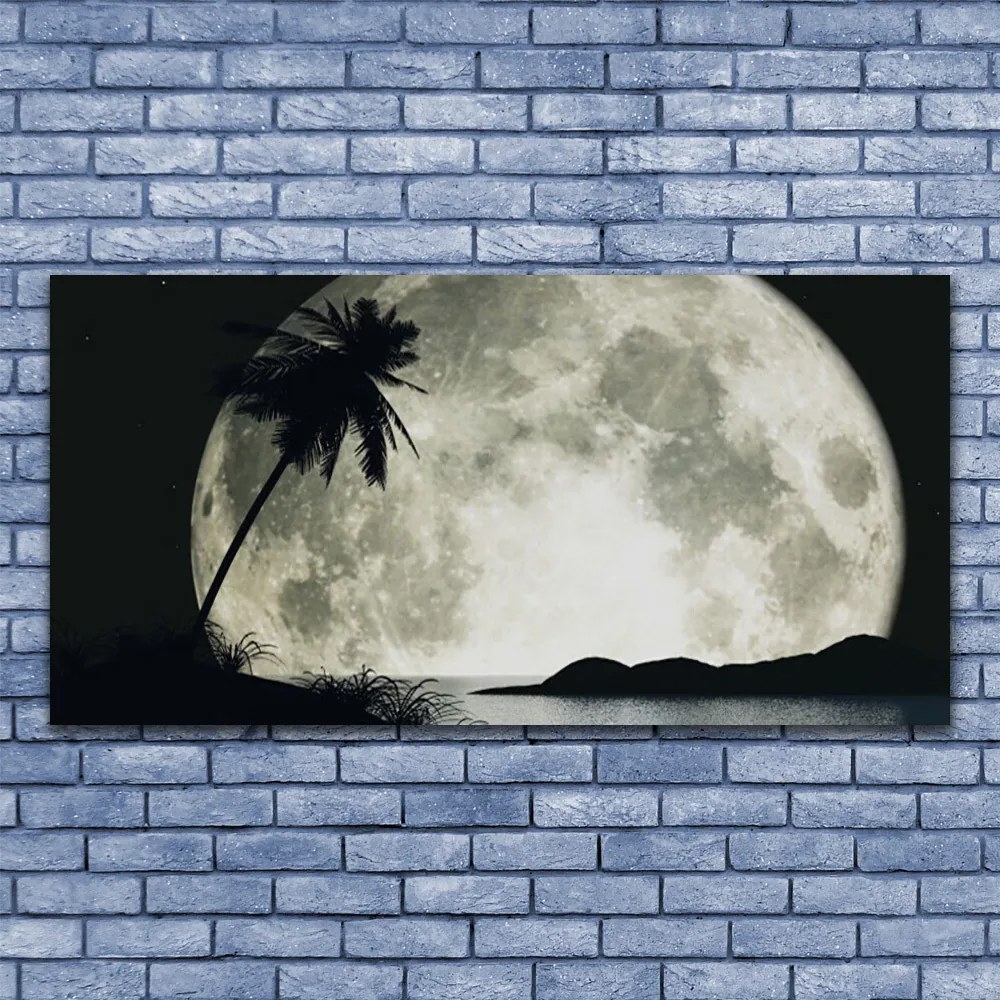 Tablouri acrilice Noapte Luna Palm Peisaj Negru Gri Alb