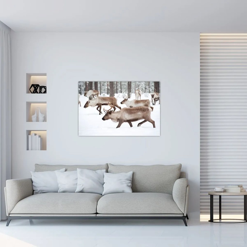 Tablou - Renul (90x60 cm)