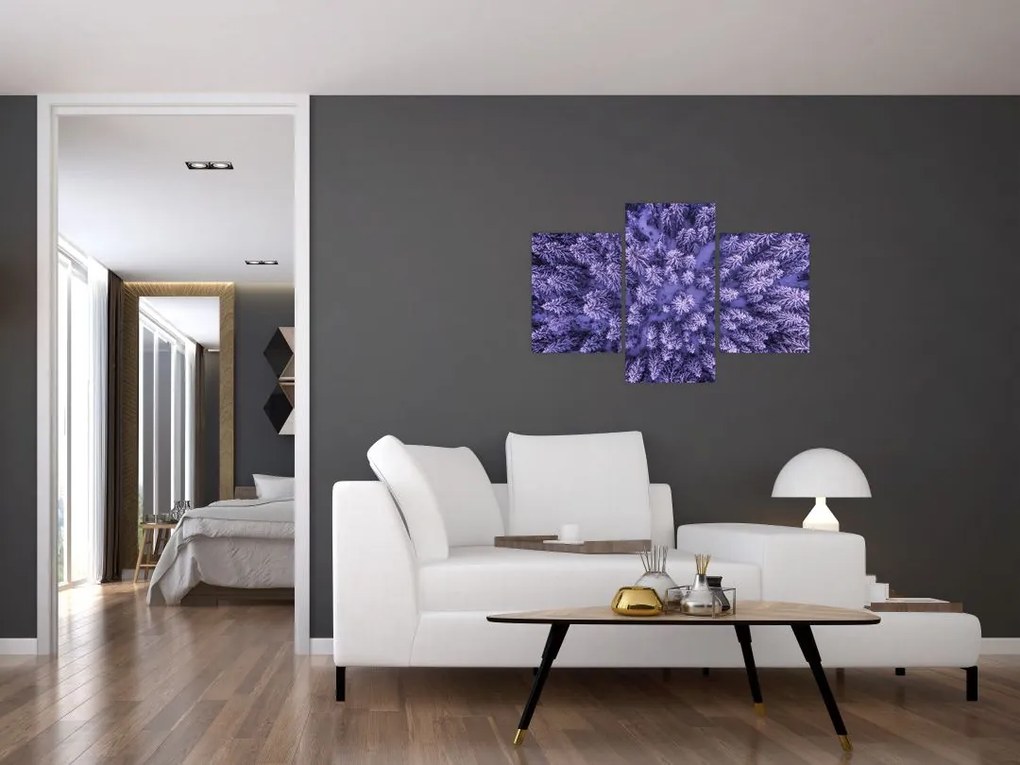 Tablou cu copacii înzăpeziți (90x60 cm)
