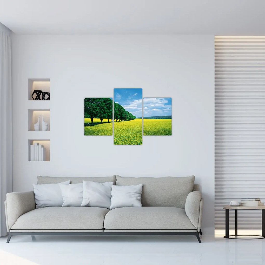 Tablou - Câmp cu alei (90x60 cm)