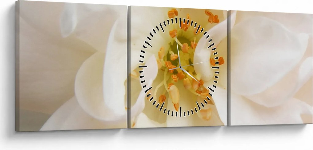 Tablou - Floare (cu ceas) (90x30 cm)