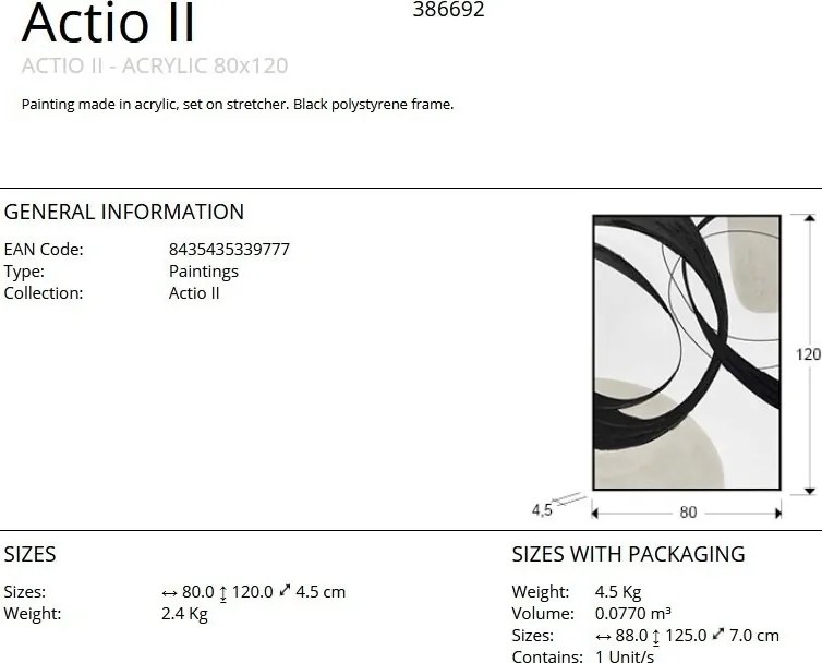 Tablou decoratiune perete Actio II 80x120cm