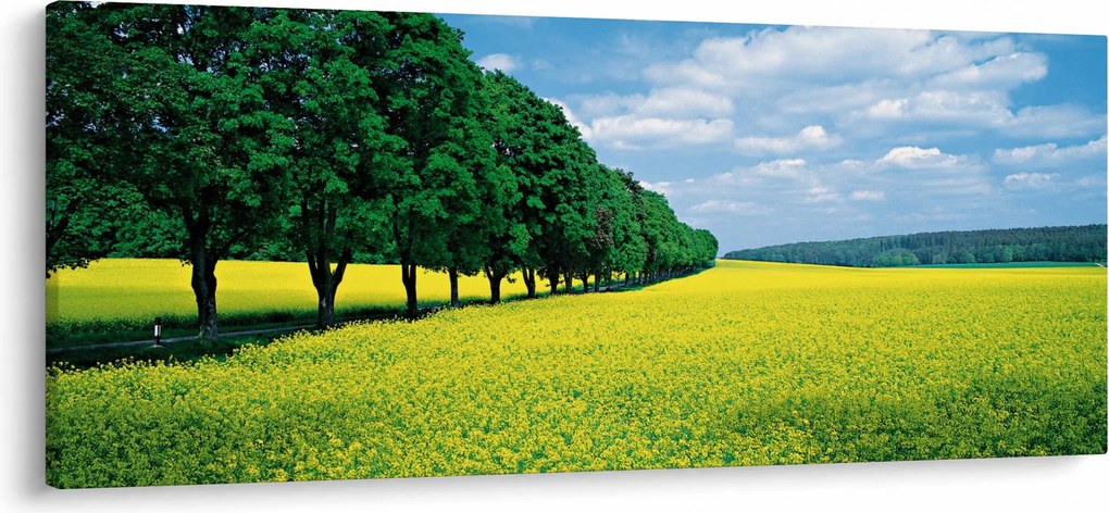 Tablou - Câmp cu alei (120x50 cm)
