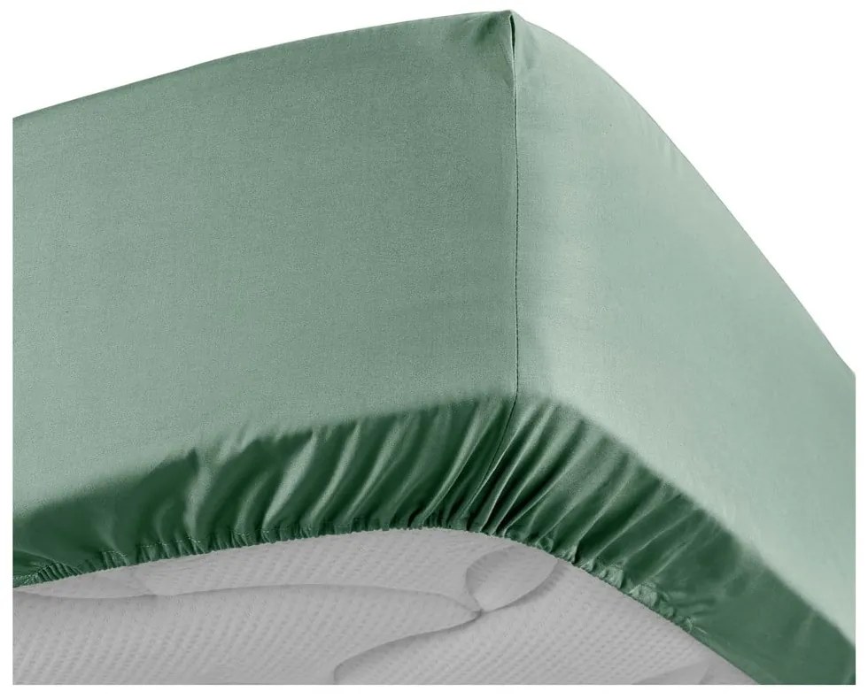 Cearceaf verde din bumbac percal cu elastic 160x200 cm Percaline – douceur d'intérieur