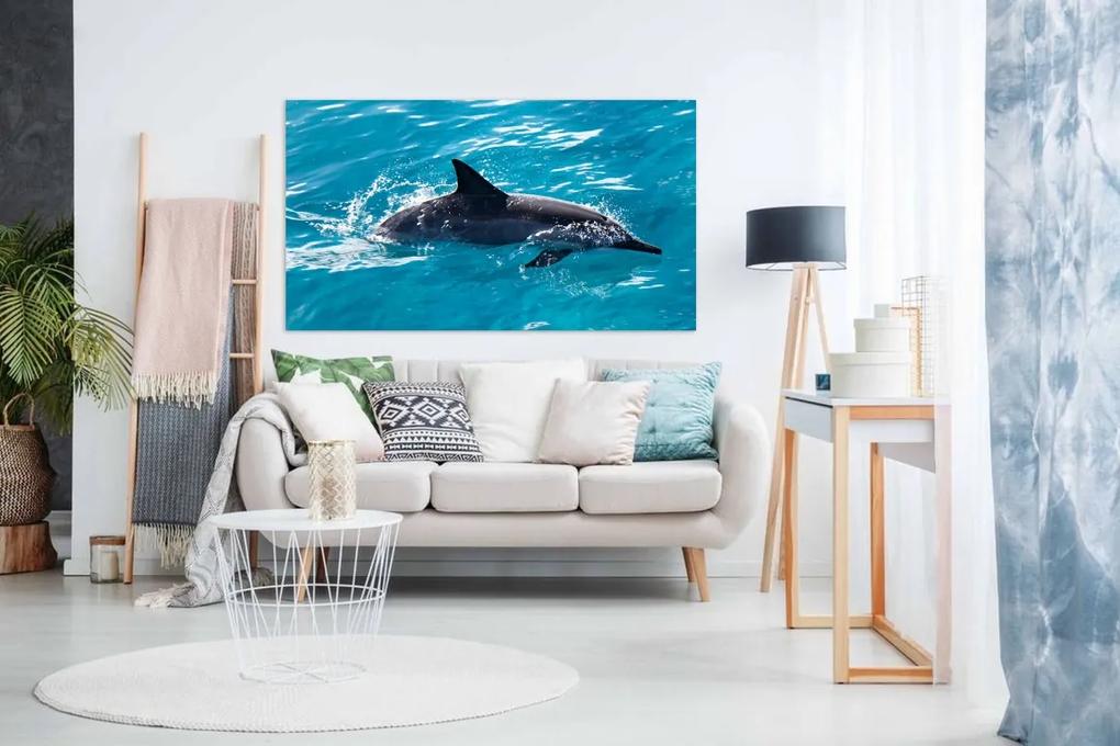 Tablou canvas delfin - 100x60cm