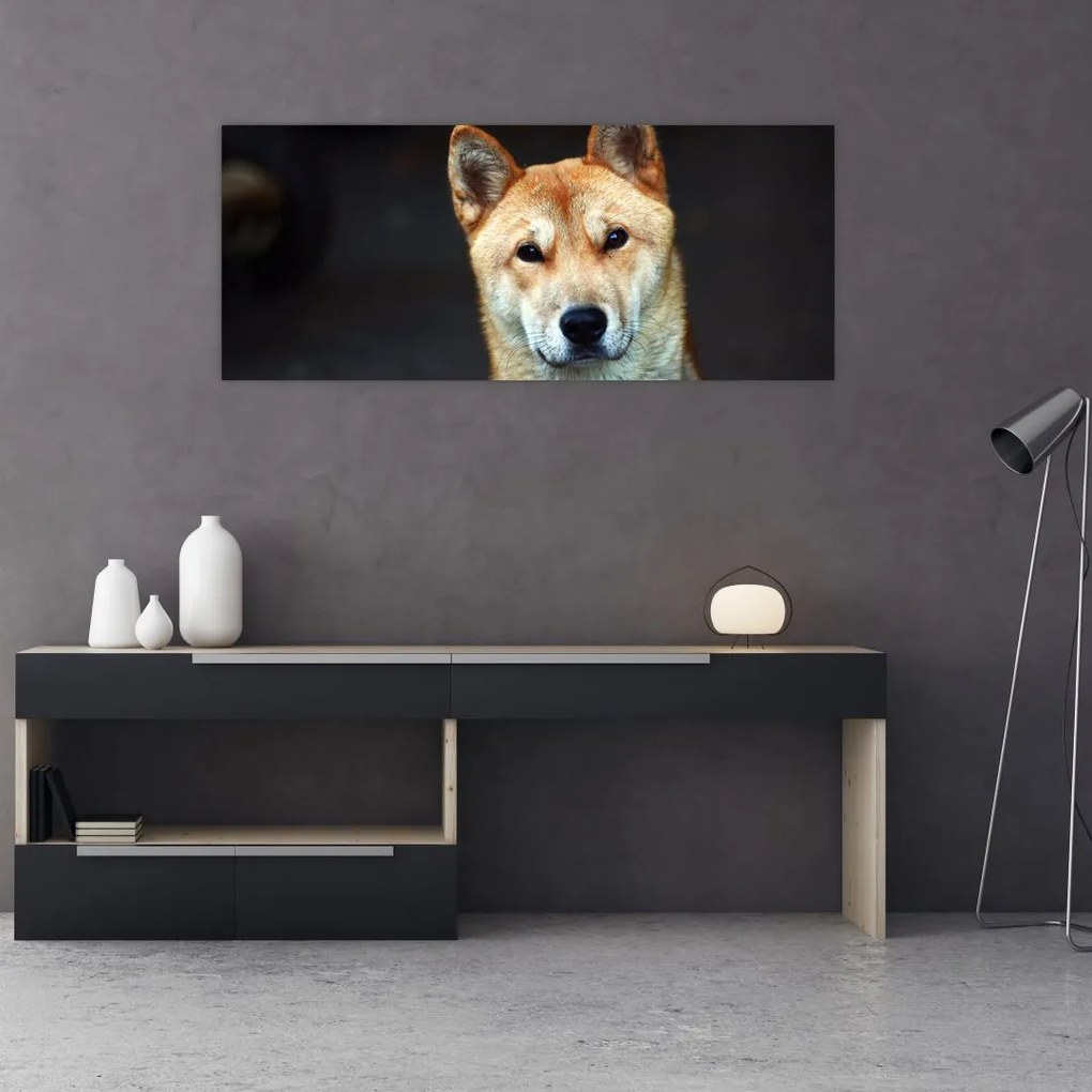 Tablou cu câine (120x50 cm)