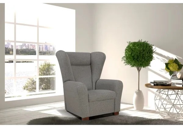 Fotoliu cu aripi VIVA, gri închis