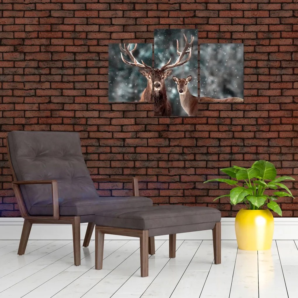 Tablou - Cerb și căprioare în pădurea înzăpezită (90x60 cm)