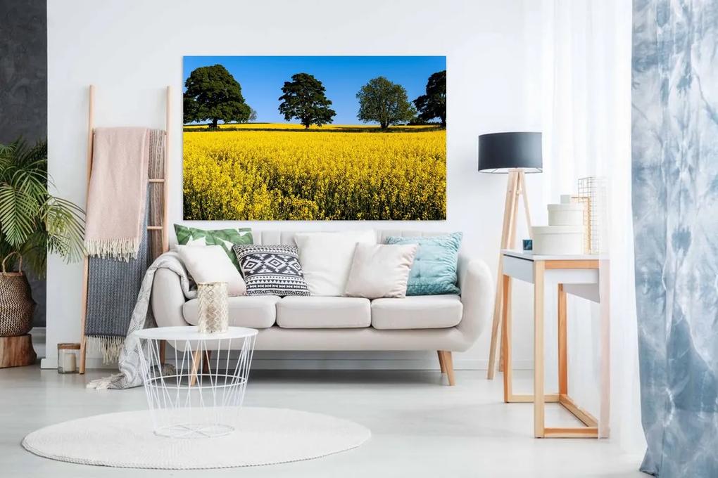 Tablou canvas camp rapita galben si copaci - 40x30 cm