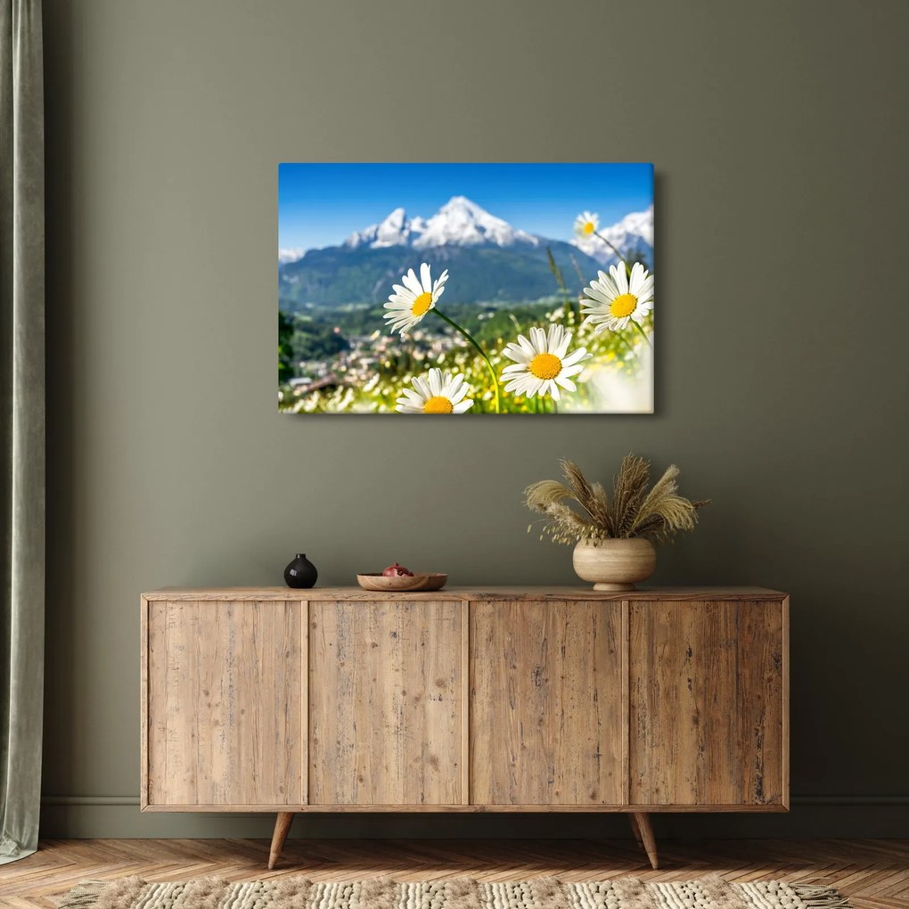 Tablou - Primăvara în Alpi (90x60 cm)