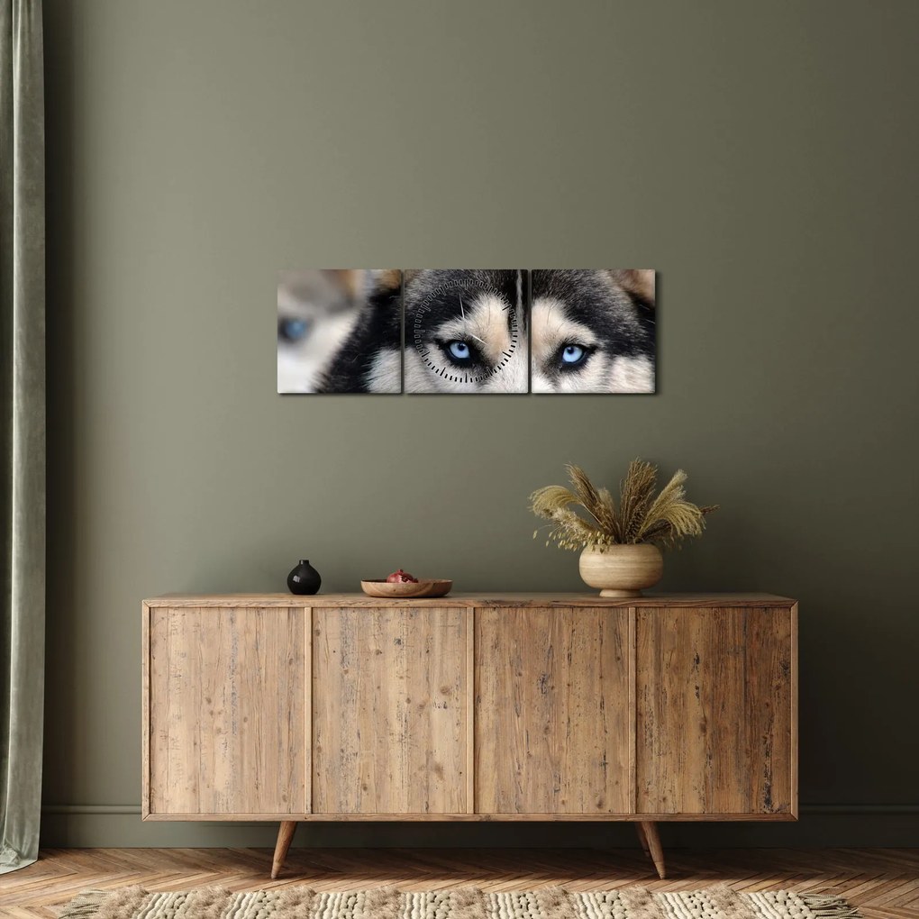 Tablou cu câinele husky (cu ceas) (90x30 cm)
