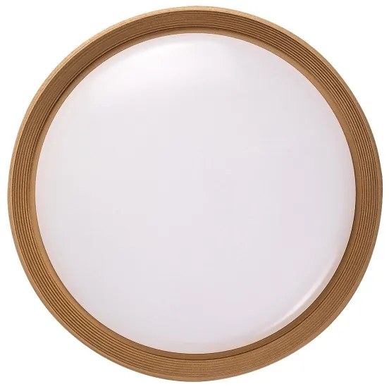 Plafonieră LED dimabilă Rabalux 71308 LADAN LED/48W/230V 3000-6500K + telecomandă