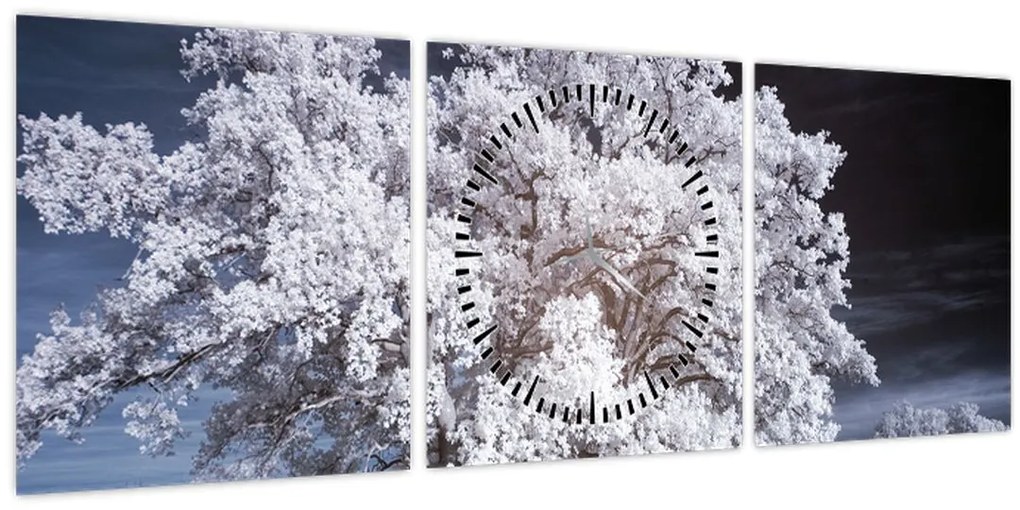 Tablou - Albă ca Zăpada Copac (cu ceas) (90x30 cm)