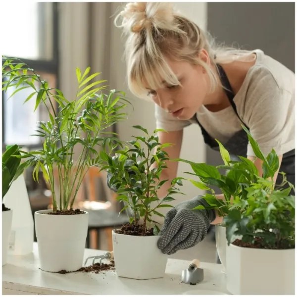 Lampă de birou LED reglabilă pentru cultivarea plantelor VERDI LED/5W/5V 1300K neagră