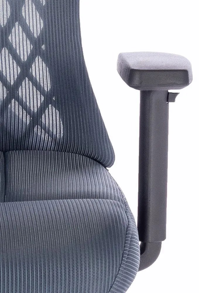 Ergomax ergonomic birou scaun pivotant gri-albastru