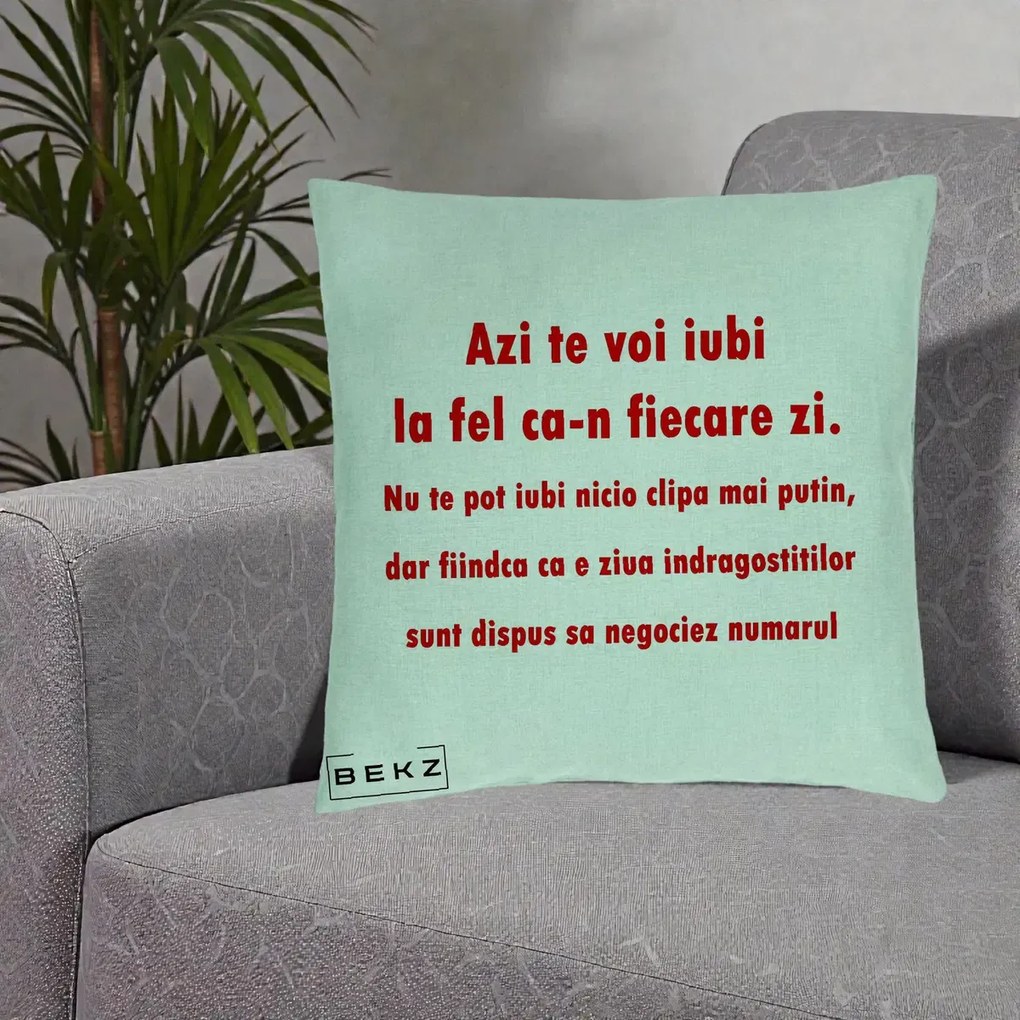 Cadou pentru Iubita - Perna Personalizata Azi Te Voi Iubi, 40x40 cm, Verde Menta, Husa Detasabila, Perna Inclusa, BEKZ®