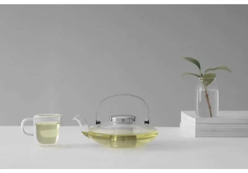 Ceainic LEAF Viva Scandinavia V70500, 500 ml, Maner rece, Transparent